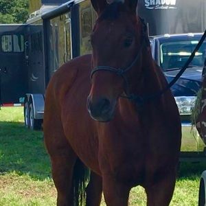 Meet your Posher, Kerri